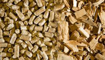 biomasa 5
